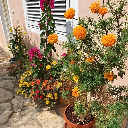 With A Parking Space Seline, Paklenica - 17390 Apartman *